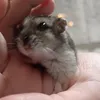 kristina_7362