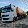 fernando.chinelao