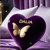 dalia.saad37