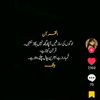 saimahaider840