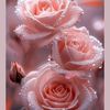 ana.garcia4064