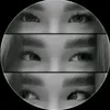 zhzsnh