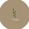 560543lraq