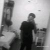 alexander.c310