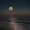 mariam.osama705