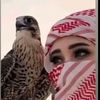 aljabibohcc