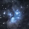 .mn_29x