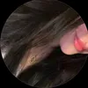 pa4ry4
