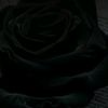 jose.ernandes825n