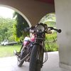jose.dubon857