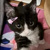 xsqzt_julixx