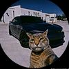 gj34_garage