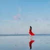 miboti4