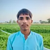 fasil kamboh