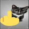 bigodin.do.mau