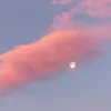 yuning_xnzy