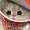 ayuri.widdy