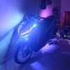 vario_17gayabebas