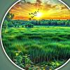 itsrehman067