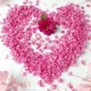 user28860946613174