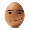 egg1488egg