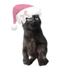 n0v4._x