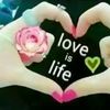 user95633238526713