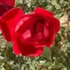 user12086099414028