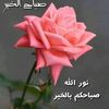 user42981655254513