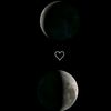 arwa06646