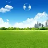 frutigeraeroofical