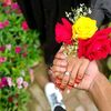 jannat34004