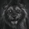 _ahmedmahmoudd