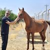 alireza.akbari01