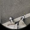 hasibur_rahman121