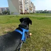 remi.the.kundelek