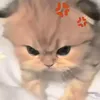 veyeuanh_214