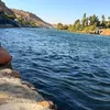 aluis_22