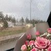 reema11275