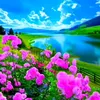 ahlam_m52
