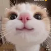 ngocdieucutiii
