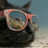 elcato32