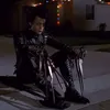 spider
