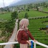 latifah111021