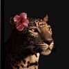 nouf.ahmed11