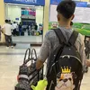 pam.a.khoa.acc.ph