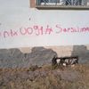 gecelik_250