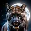 shahab8296