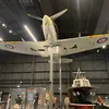 bamauk6