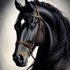user30728725619980